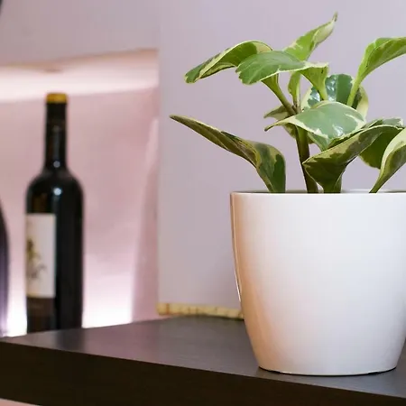 Ciudad Monumental Apartment