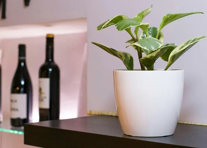 Ciudad Monumental Lägenhet